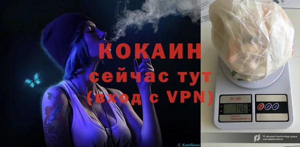 a pvp Дмитриев
