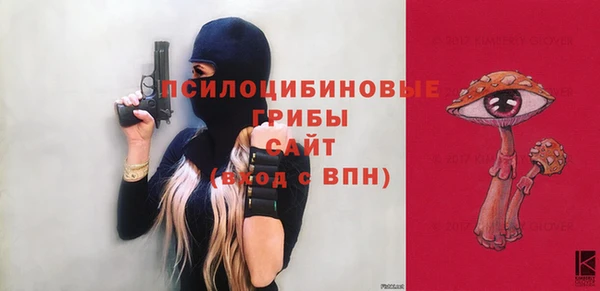 МДПВ Дмитровск