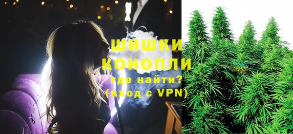 МДПВ Дмитровск