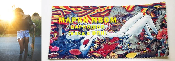 МДПВ Дмитровск