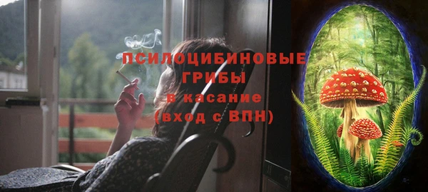 a pvp Дмитриев