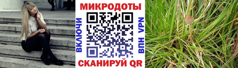 Галлюциногенные грибы GOLDEN TEACHER Купить Снежинск